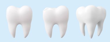 Diş bakımı ve tıp eğitimi için mavi arka planda gerçekçi beyaz azı dişi modelleri. Ortodontik klinikler, dişçilik ve oral sağlık sunumları için kökleri olan temiz diş minesi azı dişleri.