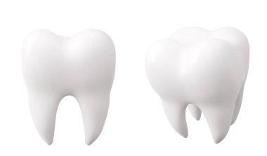 Dişleri pürüzsüz, anatomik köklere sahip, beyaz dişli 3D modeller. Tıp eğitimi ya da ortodontik materyaller için doğal taç şeklinde temiz azı dişi.