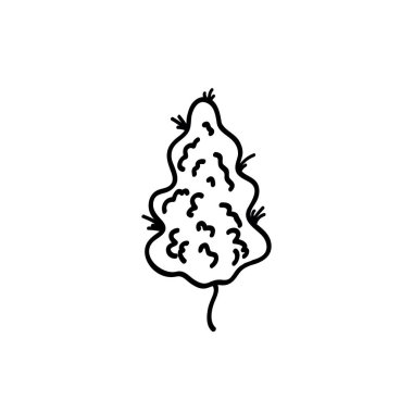 esrar ve bud doodle simgesi