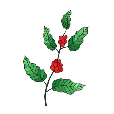 kahve ağacı doodle simgesi