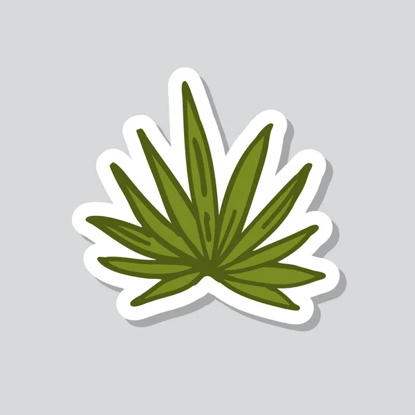 Agave Sticker Doodle Icon — Stock Vector