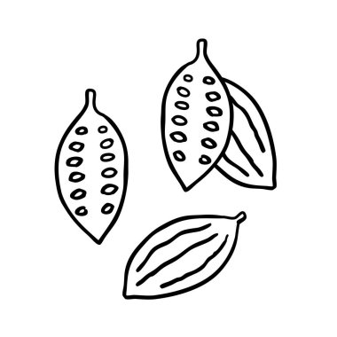 kakao çekirdeği doodle simgesi