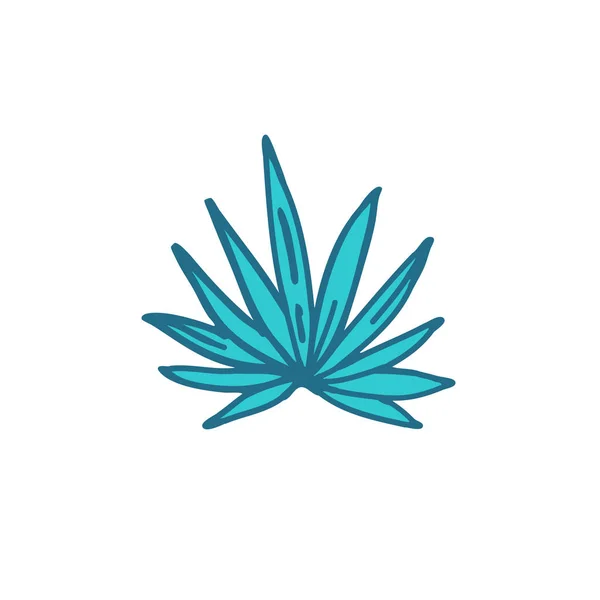 Agave Doodle Farbsymbol — Stockvektor