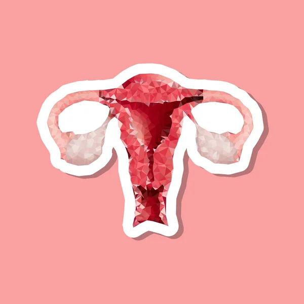 Vrouwelijke Geslachtsorganen Baarmoeder Veelhoekige — Stockvector