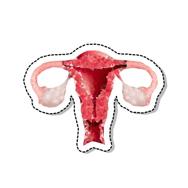 Polygonales Gebärmuttervektorsymbol — Stockvektor