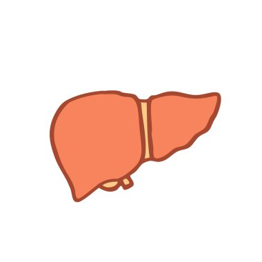 insan karaciğer doodle simgesi