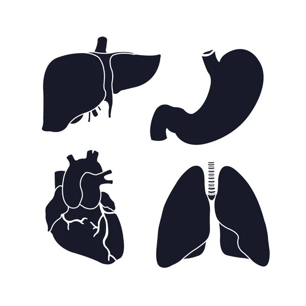 Órganos Humanos Vector Iconos — Archivo Imágenes Vectoriales