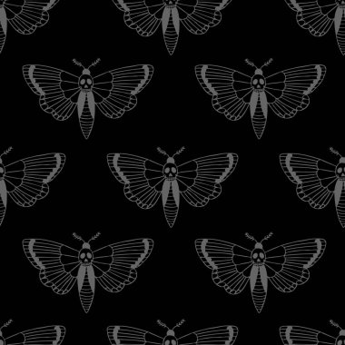 Afrika ölümlerin hawkmoth sorunsuz doodle desen baş