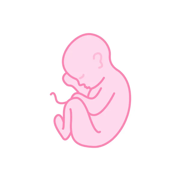 胎儿矢量图标 — 图库矢量图片