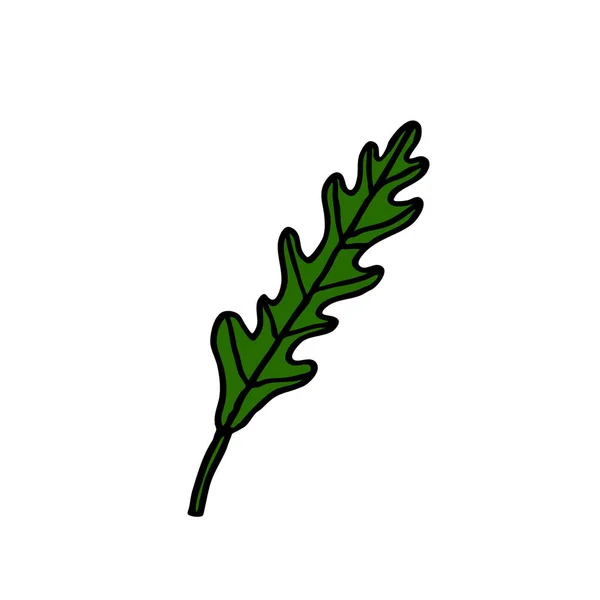 Sült saláta kitûnõ, rukola doodle ikon — Stock Vector