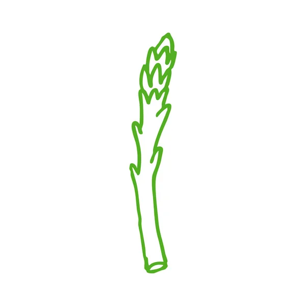 Asparagus doodle icon — Stock Vector