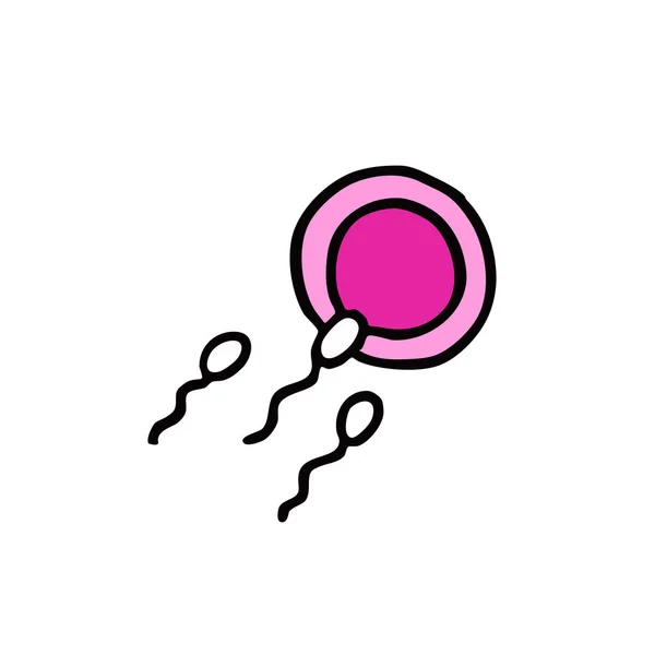 Σπέρμα και ωάριο εικονίδιο doodle — Διανυσματικό Αρχείο