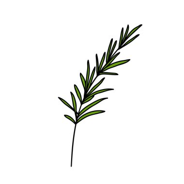 Biberiye doodle renkli simge