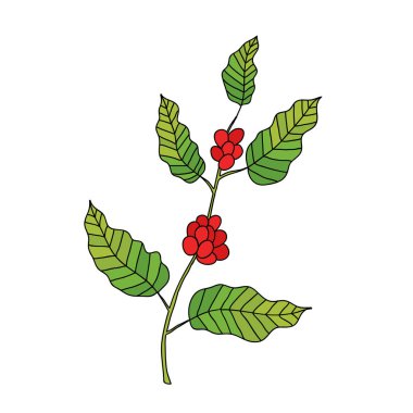 kahve ağacı doodle simgesi