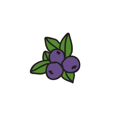 yaban mersini doodle simgesi