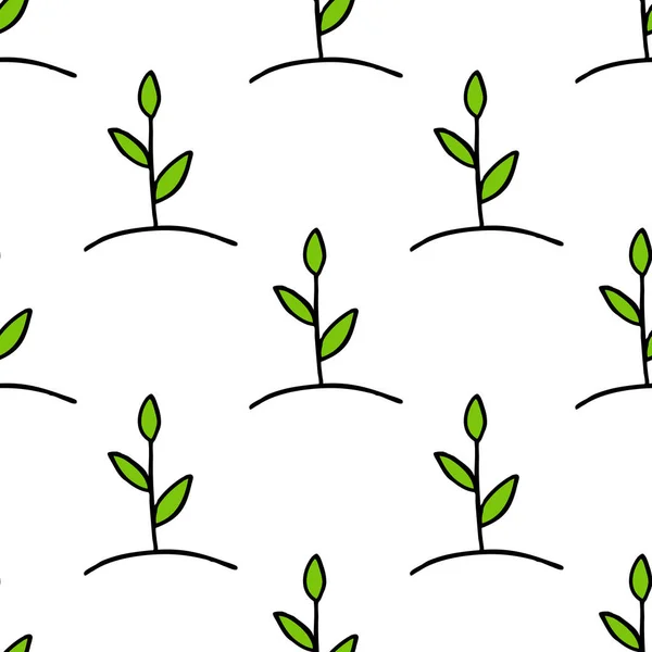 植物无缝涂鸦模式 — 图库矢量图片
