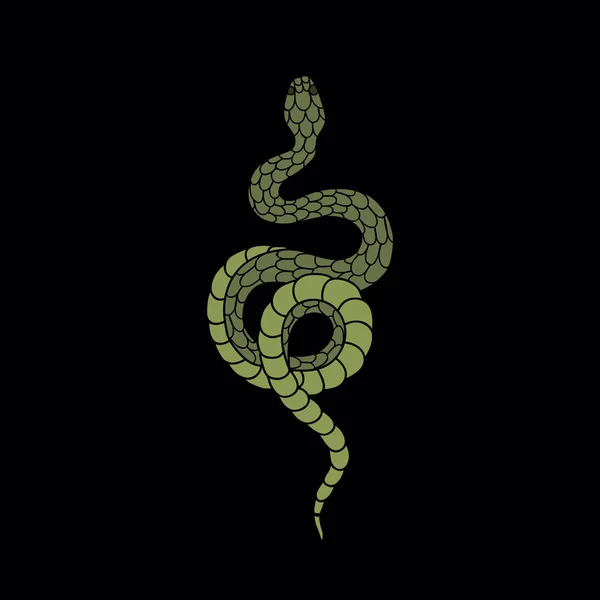 Hadí ilustrace tradiční tetování flash — Stockový vektor