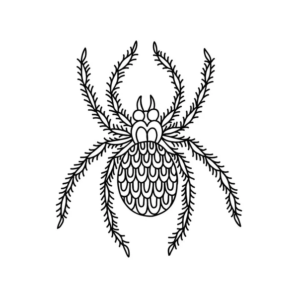 Spider illustration traditional tattoo flash — Stock Vector