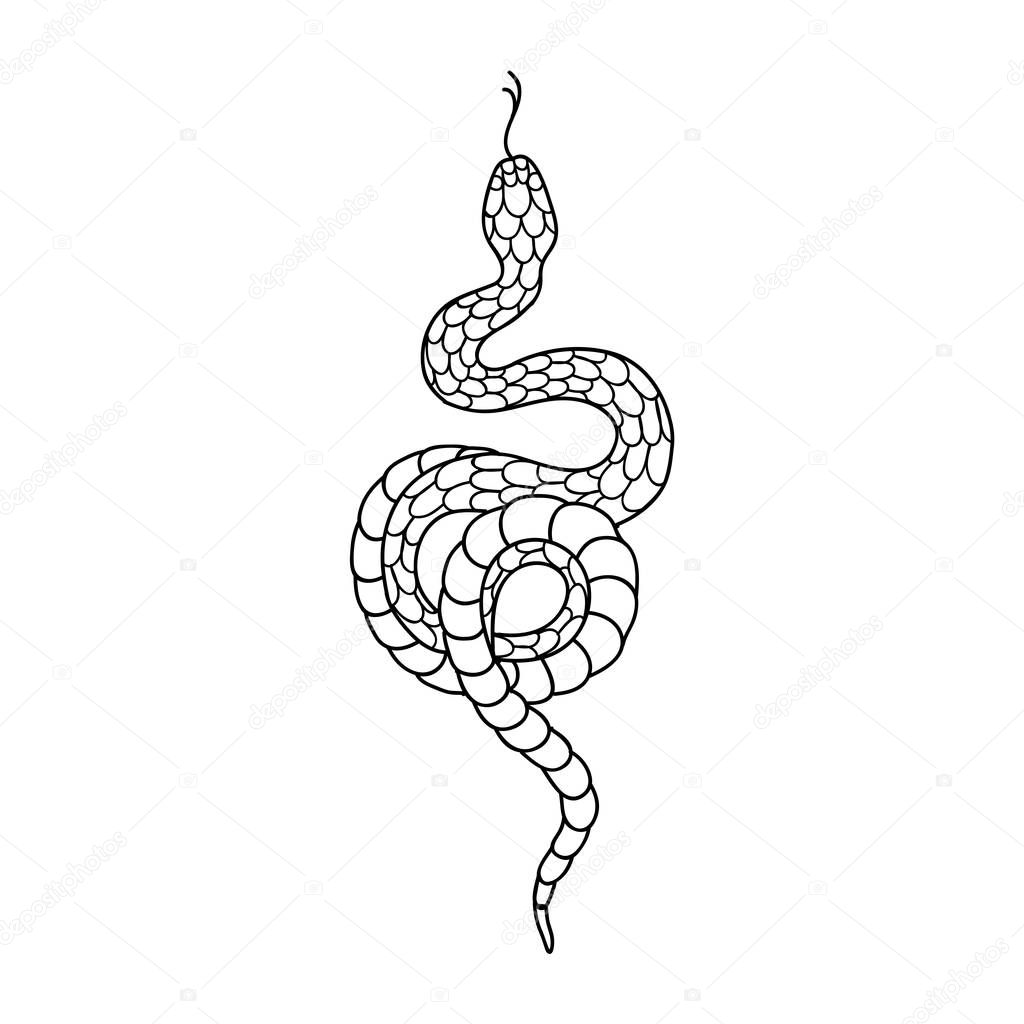 snake illustration traditional tattoo flash