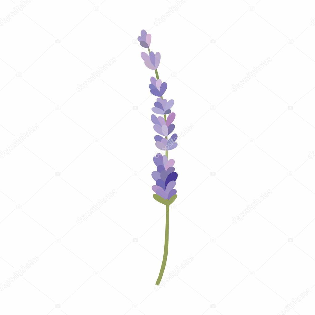 lavender doodle icon