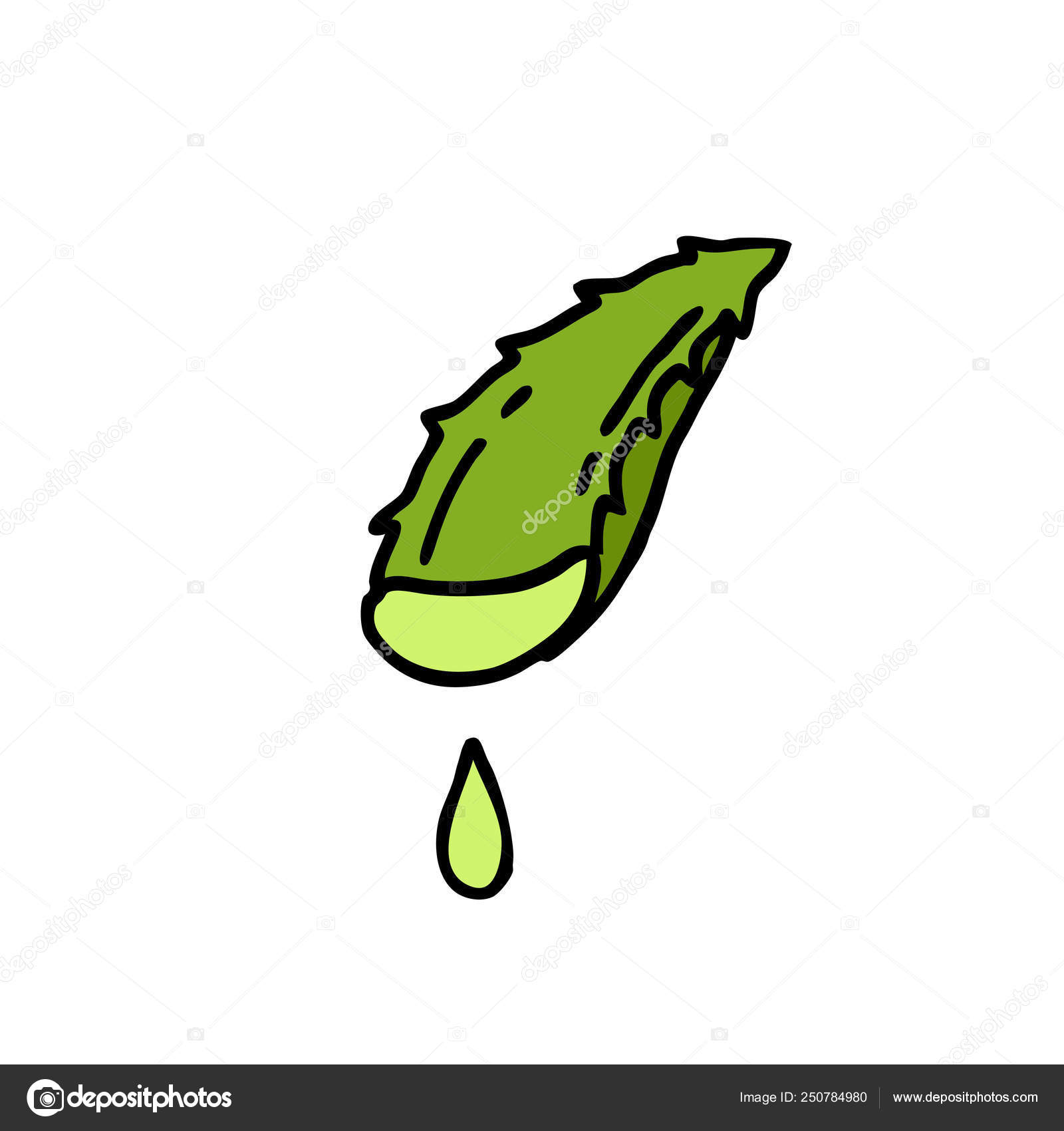 Featured image of post Aloe Vera Doodle Aloe vera cactus in doodle style