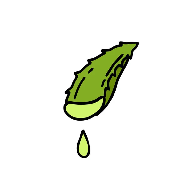 Ícone Doodle Aloe Vera —  Vetores de Stock