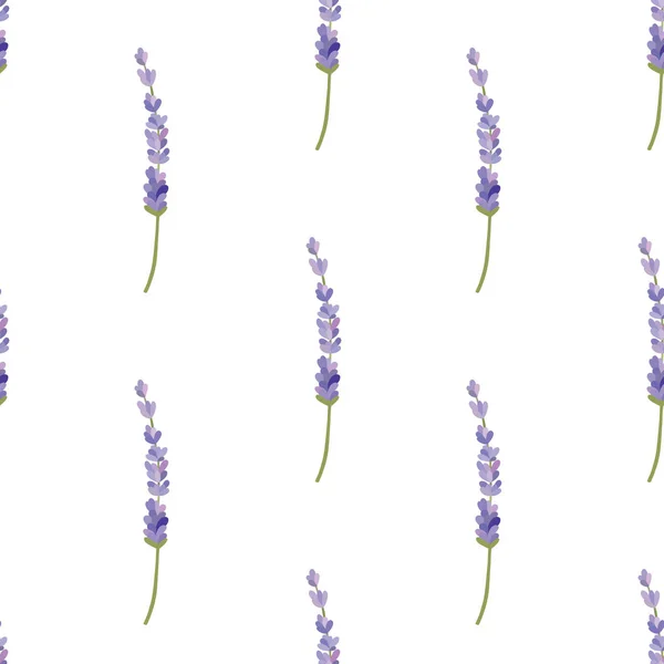 Lavender Seamless Vector Pattern — Stock Vector