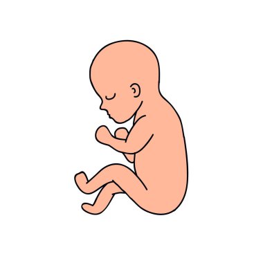 fetus doodle vektör simgesi