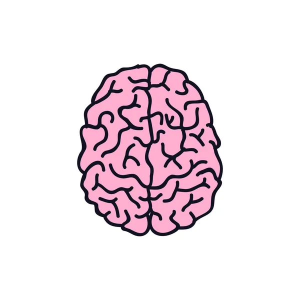 Icône Vectorielle Doodle Cerveau — Image vectorielle