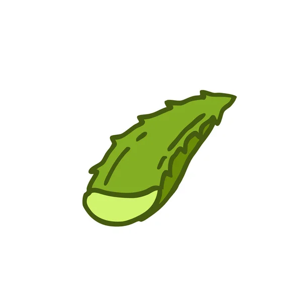 Aloe vera garabato icono — Vector de stock