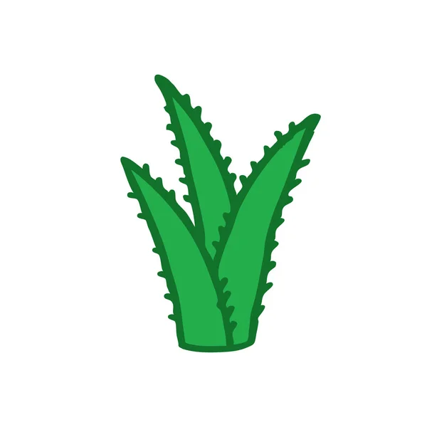 Aloe vera doodle ikona — Stockový vektor