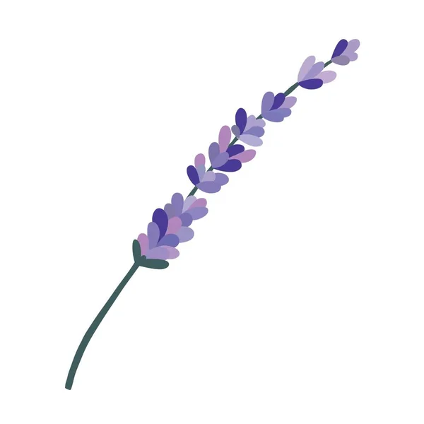 Lavendel kleur pictogram, vector illustratie — Stockvector