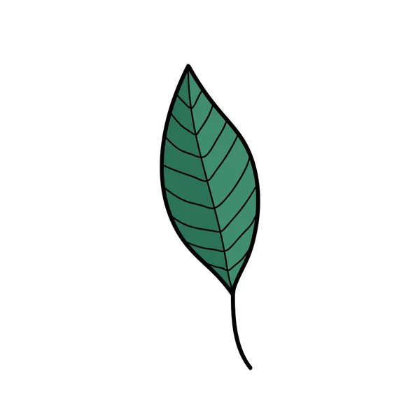 Icône de doodle feuille verte, illustration vectorielle — Image vectorielle