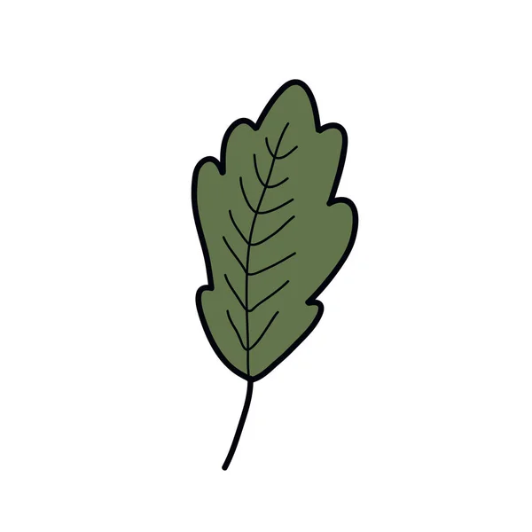 Gröna löv Doodle ikon, vektor illustration — Stock vektor