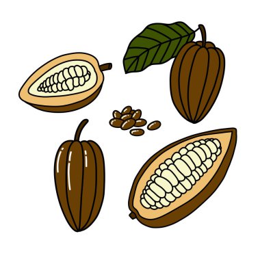 cacao fruit and beans doodle icon, vector illustration clipart
