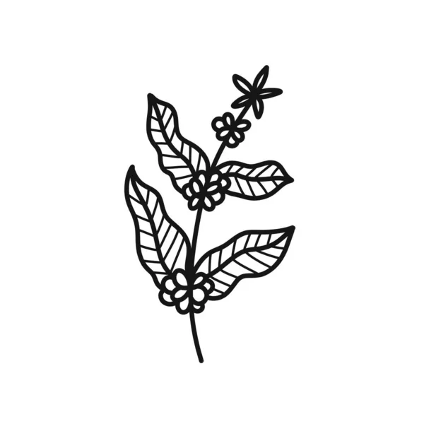 Значок Каракулі Кавового Дерева Векторна Кольорова Ілюстрація — стоковий вектор