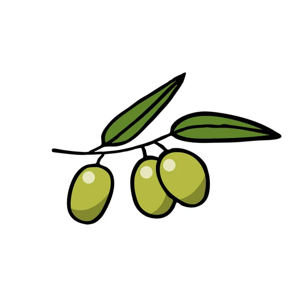 Oliven Doodle Symbol Vektorfarbenillustration — Stockvektor