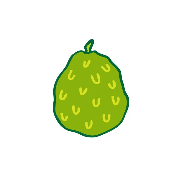 Cherimoya Doodle图标 矢量颜色插图 — 图库矢量图片