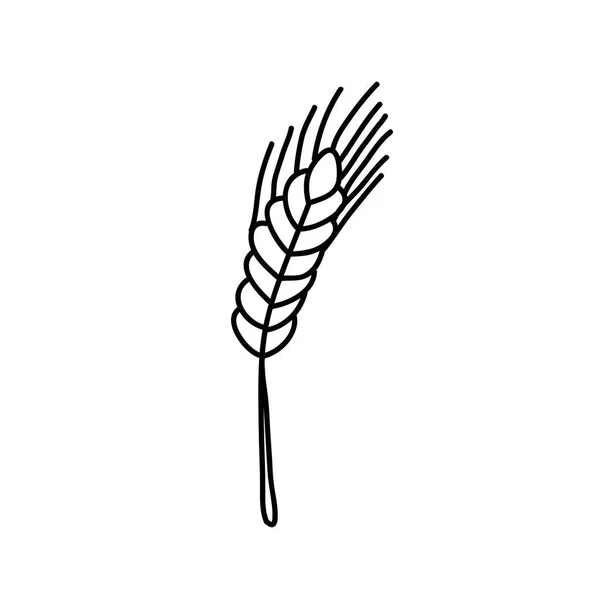 Weizen Doodle Symbol Vektorfarbenillustration — Stockvektor