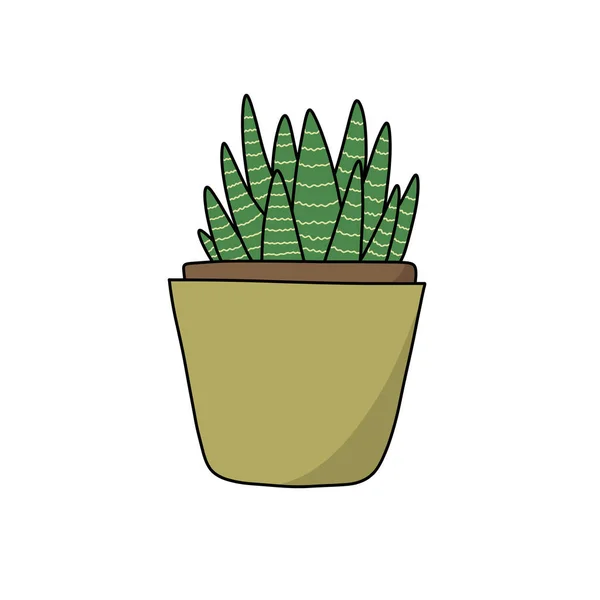 Sansevieria Doodle Icon Vector Color Illustration — 스톡 벡터