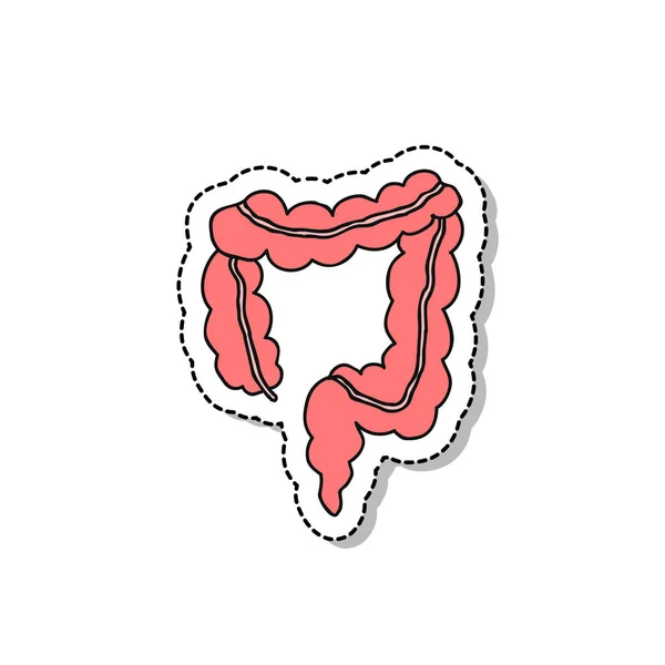 Icona Scarabocchiare Adesivo Intestino Umano Isolato Sfondo Bianco Illustrazione Colori — Vettoriale Stock