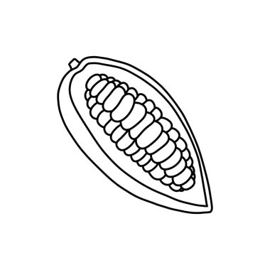 Kakao meyve ve fasulye karalama ikonu, vektör çizgisi illüstrasyonu