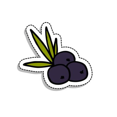 acai berry doodle simgesi, vektör renk çizimi