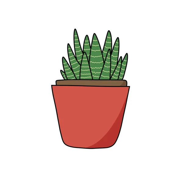 Sansevieria Doodle 아이콘 Vector Illustration — 스톡 벡터