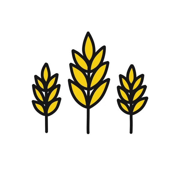 Spikelets Wheat Doodle Icon Vector Illustration — Stock Vector