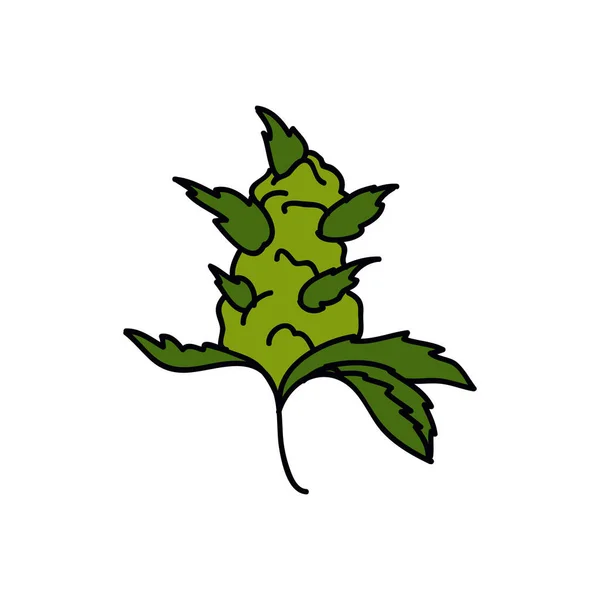 Marihuana Knospe Doodle Symbol Vektorillustration — Stockvektor