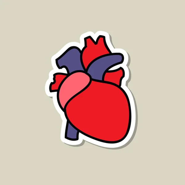Menschliches Herz Doodle Symbol Aufkleber Vektorillustration — Stockvektor