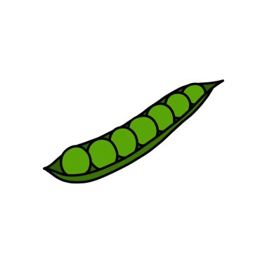 yeşil bezelye karalama simgesi, vektör illüstrasyonu