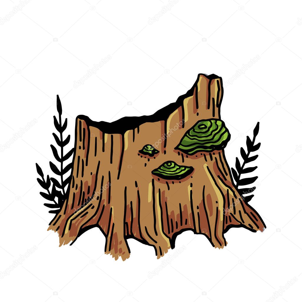 Vector image of a tinder tree growing on a picturesque stump in the forest.