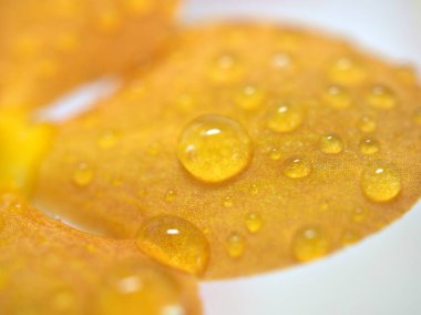 Çiçeklerin sarı yapraklarının üzerine yakın plan su damlaları bulanık arka plan, makro görüntü, yumuşak odak, kart tasarımı için tatlı renk